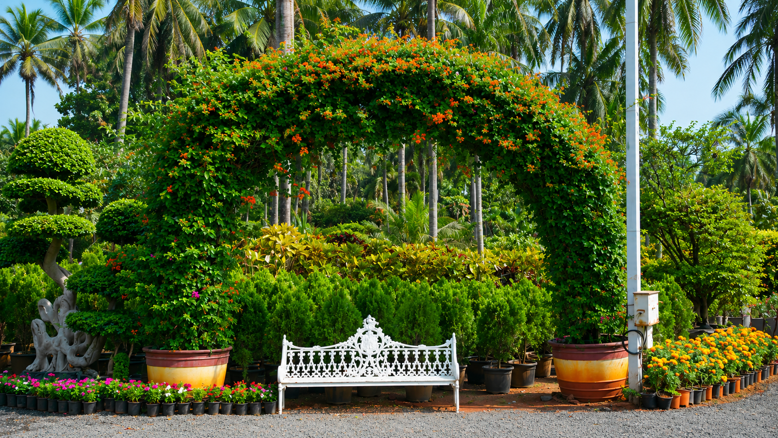 Softscape & Plantation